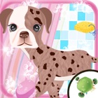 Cute Puppy Love Story - Puppy Play Time