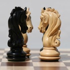 Top 29 Education Apps Like Chess For Beginners - Best Alternatives