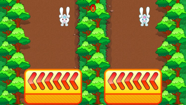 Rabbit Rush Run