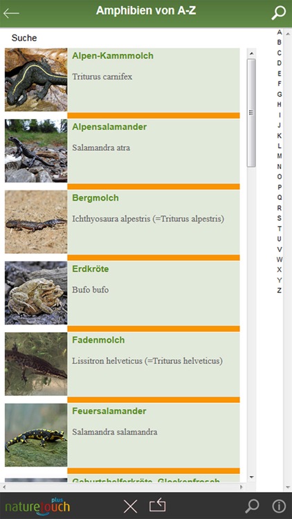 Frösche, Kröten, Unken bestimmen screenshot-3