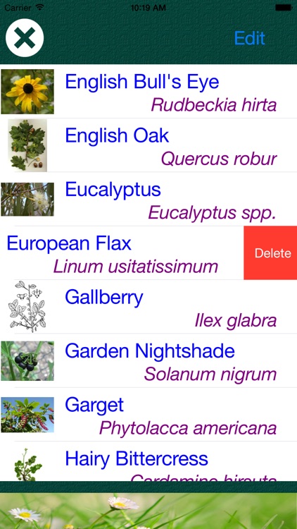 Plant Dictionary - All Information About A - Z Common Species Of Plant screenshot-3