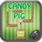 Candy Pig Physics Game - Mind Test Game