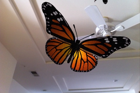 Live Butterflies screenshot 3