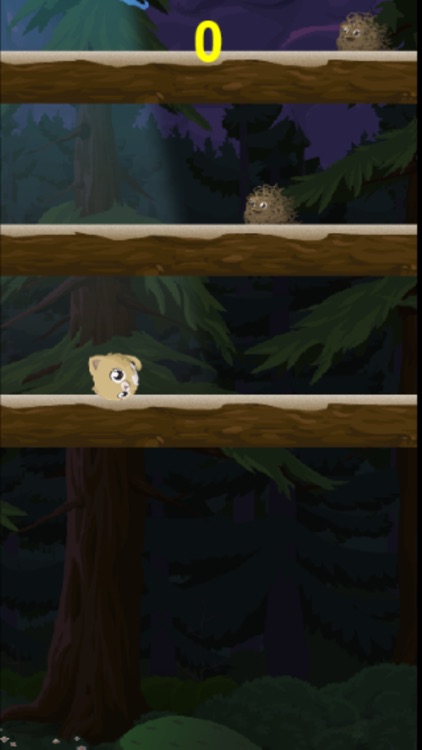 Kitty Meow Meow adorable - Cat Jump Night screenshot-3