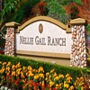 Nellie Gail Homes