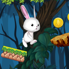 Activities of Super Rabbit Runner