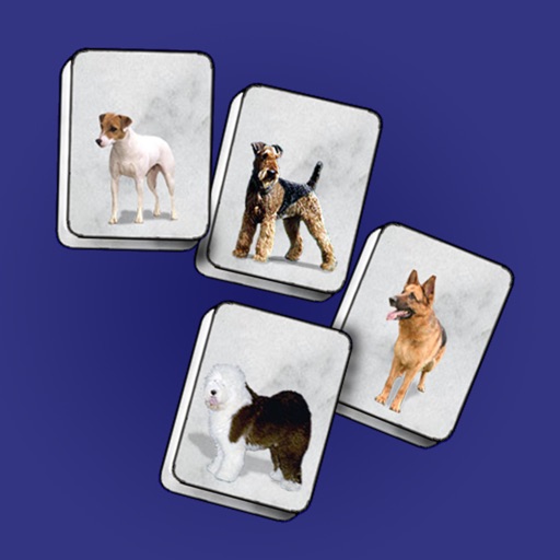 Dog Jongg iOS App