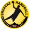 Bregenz Handball