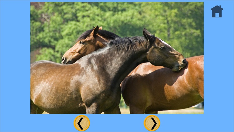 irresistible horses for kids - no ads screenshot-4