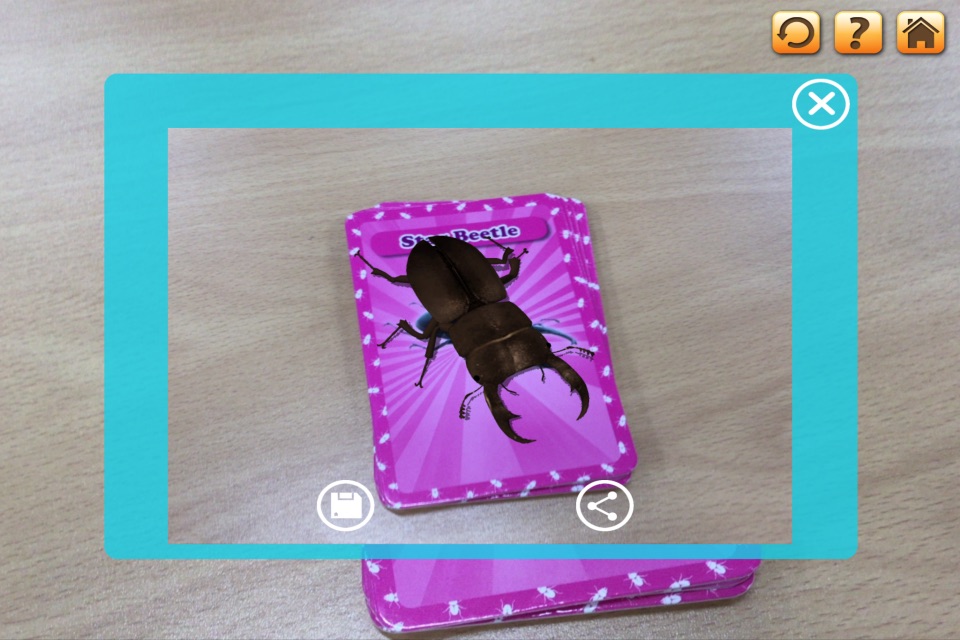 3D LEARNING CARD BUGS screenshot 4