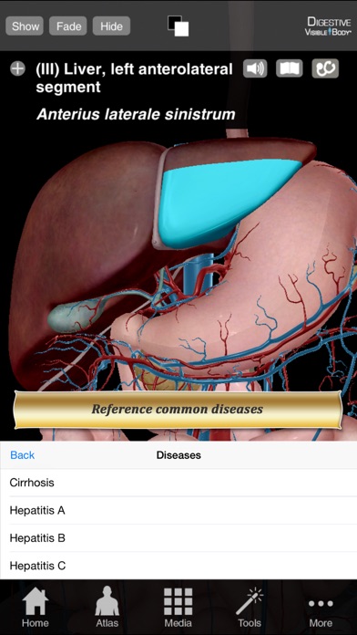 Digestive Anatomy Atlas: Essential Reference for Students and Healthcare Professionals Screenshot 5