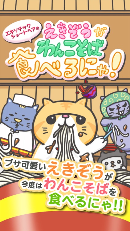 エキゾチックショートヘアーのえきぞうがわんこそばを食べるにゃ！