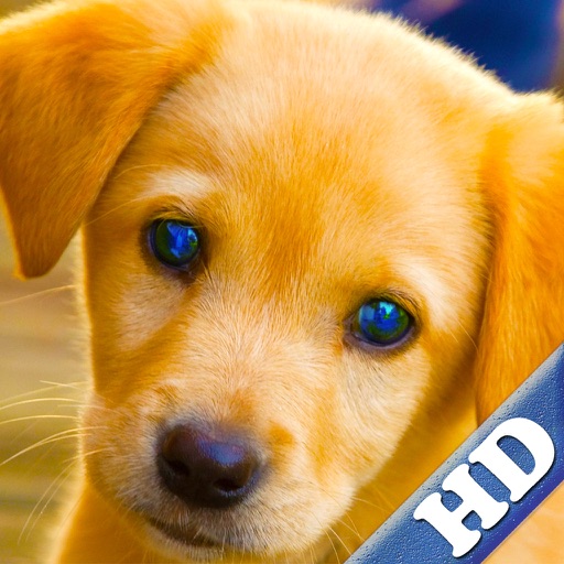 Puppies Jigsaw Puzzle Games for Girls & Boys with Baby Pet Dog who Loves Animal Puzzles & Pictures for Kids HD icon