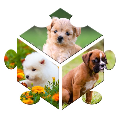 Jiggy Cute Puzzles - Adorable Photos Of Kittens, Pups & More Pro Edition Icon