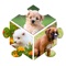 Jiggy Cute Puzzles - Adorable Photos Of Kittens, Pups & More Pro Edition