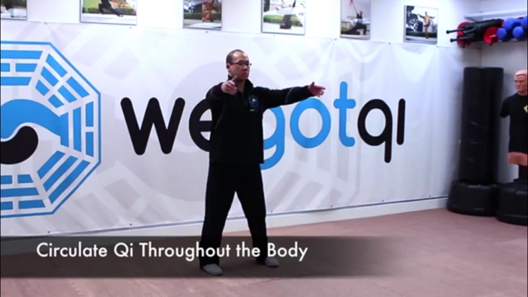 Qigong Training screenshot-3