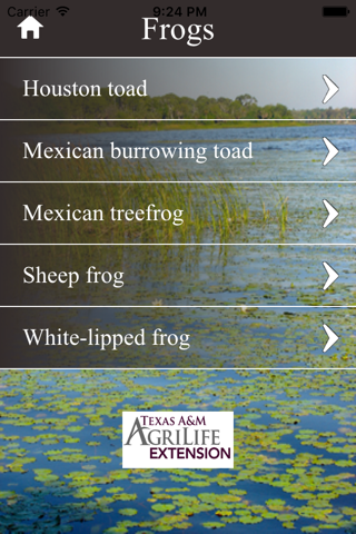 Threatened and Endangered Reptiles and Amphibians of Texas screenshot 4