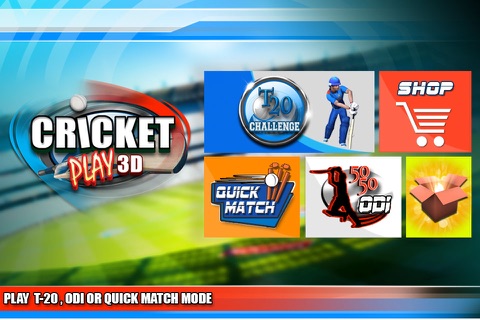 Cricket Play 3D - Live The Game (World Pro Team Challenge Cup 2016) screenshot 2