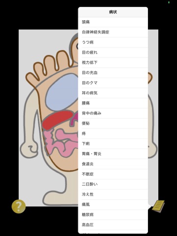 Foot Massage Guide for iPad screenshot 2