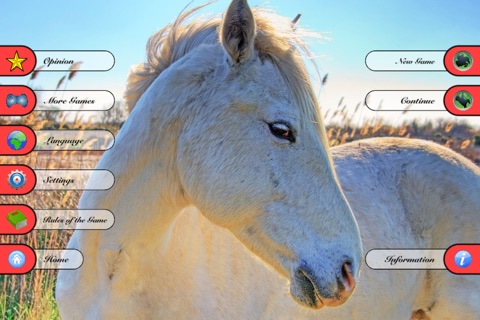 Ludo - Horse Racing screenshot 2