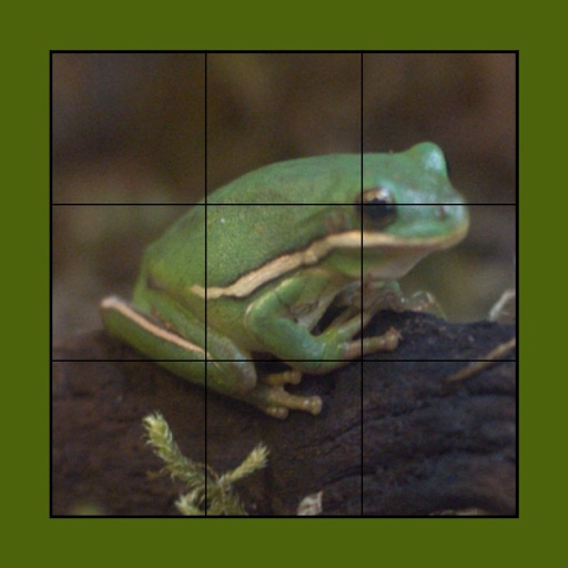 Frog Puzzles Extreme! XL Free iOS App