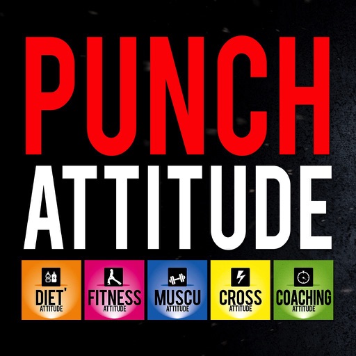Punch Attitude icon