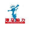 海马记忆大师