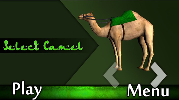 Camel Race 3D