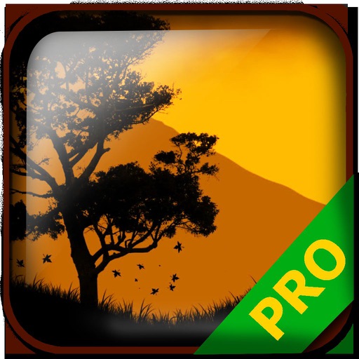 PRO - Dust An Elysian Tail Game Version Guide