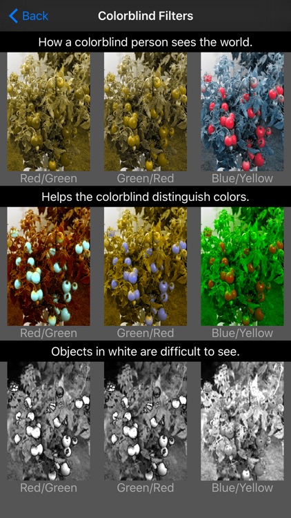 ColorDeBlind - how color blind people see the world.