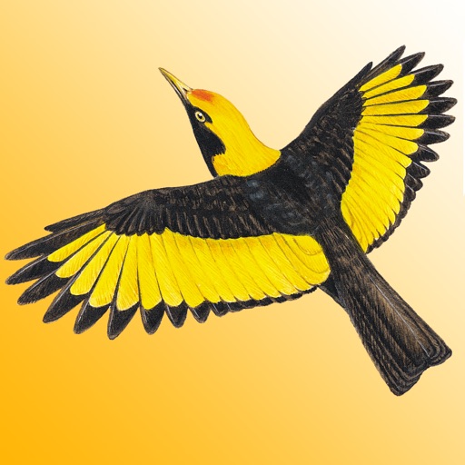 The Michael Morcombe and David Stewart eGuide to the Birds of Australia LITE iOS App