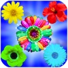 Blossom Garden Farm Blossom Garden Farm