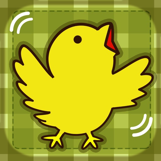 Bird and Pelmanism iOS App