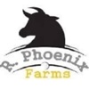 R Phoenix Farms LLC
