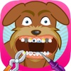 Animal Pet Vet Dentist - Vetrinar Treat The Dogs Teeth