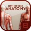 Animated Orthopedic Anatomy Video Training