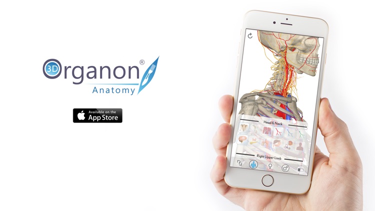 3D Organon Anatomy - Brain and Nervous System screenshot-3