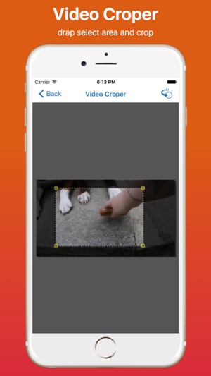 Video Cropper Pro(圖4)-速報App