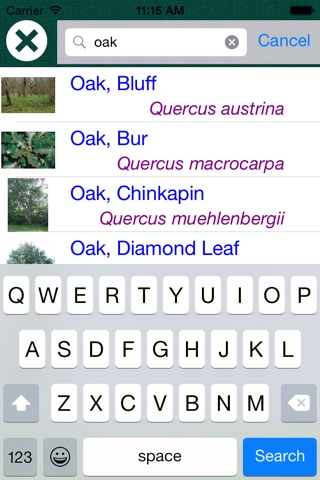 Tree Dictionary - All Information About A - Z Common Species Of Tree screenshot 3