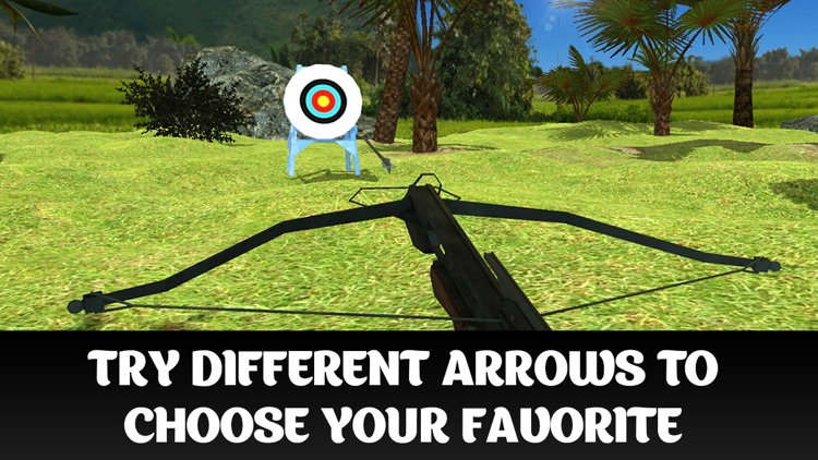 Crossbow Shooting Championship 3D