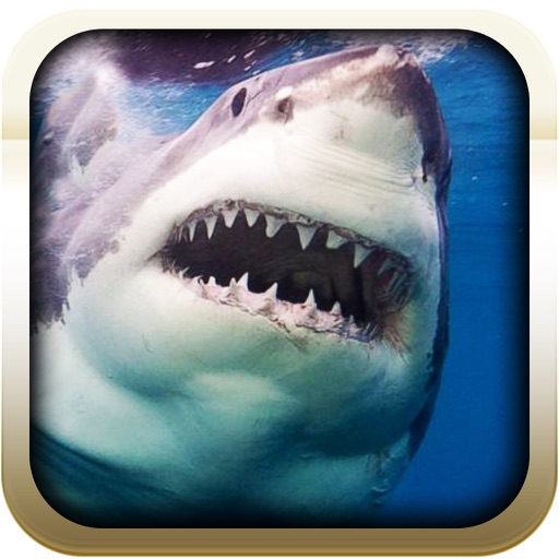 2016 Hungry Angry Monster White Shark Pro -  Extreme Winter Trout Hunt Adventure icon