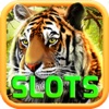 Tiger Forest Slots - FREE Casino Game
