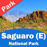 Saguaro National Park East  W