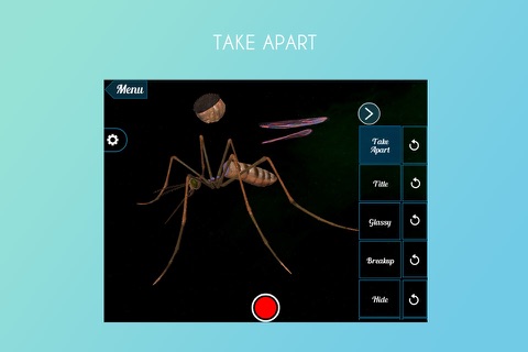 Mosquito 3D screenshot 2