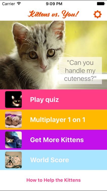 Kittens vs. You - Free Trivia and Quiz Game for Kittens of All Ages screenshot-3