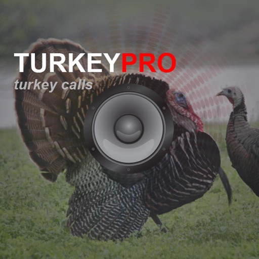 Turkey Calls - Turkey Sounds - Turkey Caller App iOS App