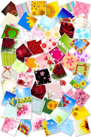 Amazing Flower Frames and Stickers screenshot 2