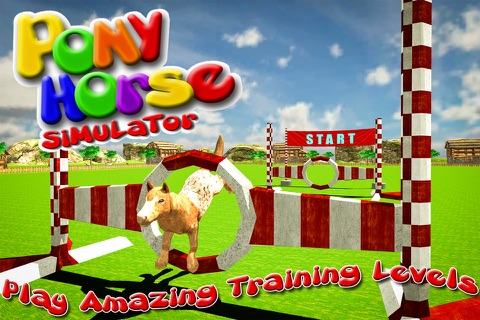 Pony Horse Simulator 2016 screenshot 4