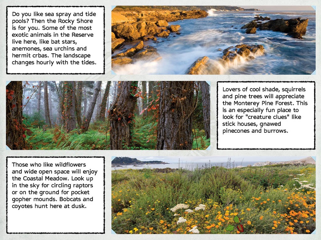 Discover Point Lobos screenshot 2