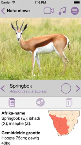 Game screenshot Sasol Natuurlewe vir Beginners (Lite): Blitsfeite, foto's en video's van 46 Suider-Afrikaanse diere hack